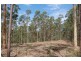Lot 15 Beattie Road, Mundoolun QLD 4285