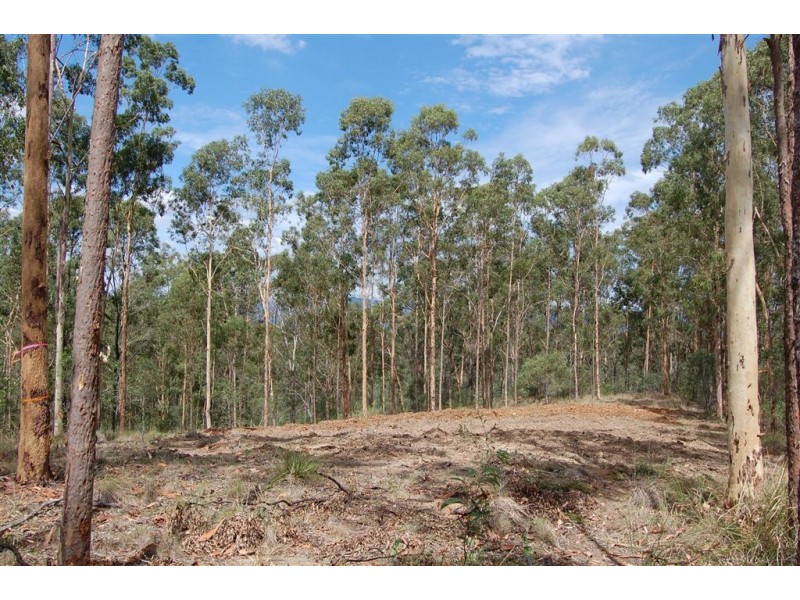 Lot 15 Beattie Road, Mundoolun QLD 4285
