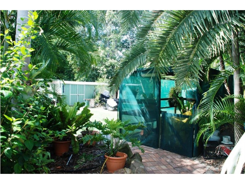 Camira QLD 4300