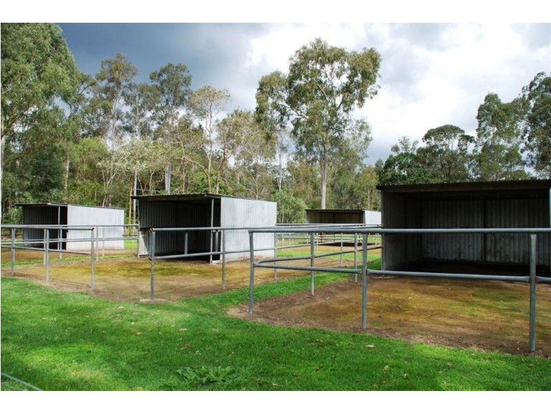 201 Begley Rd, Greenbank QLD 4124