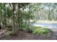 201 Begley Rd, Greenbank QLD 4124
