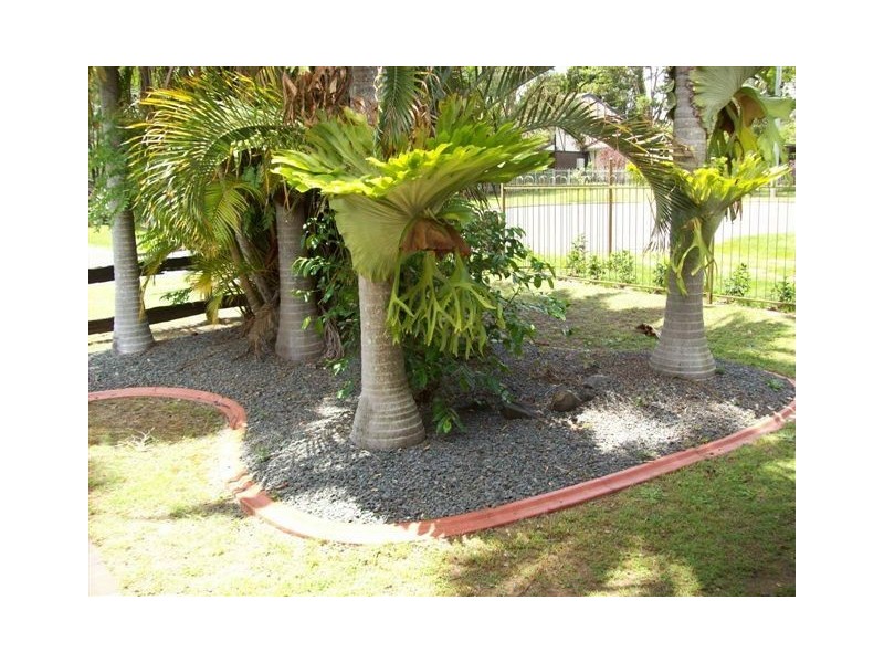 6 Ron St, Camira QLD 4300