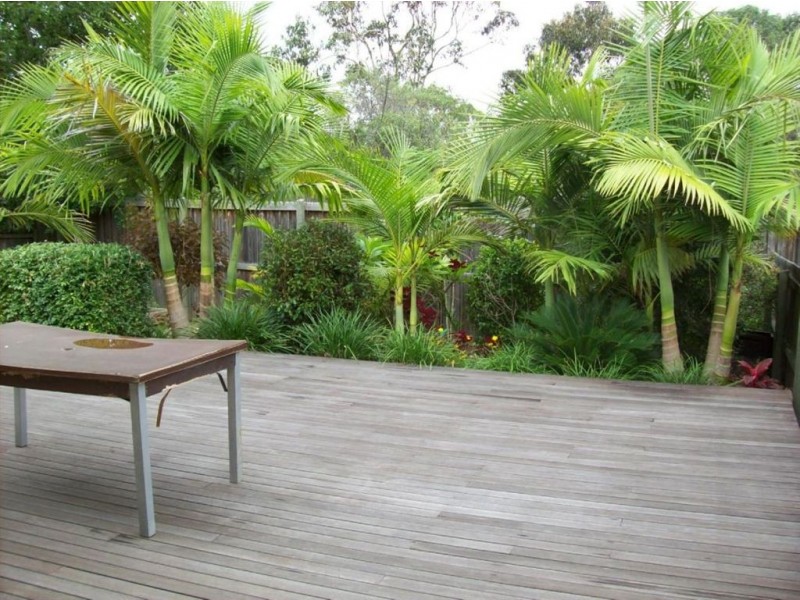 Springfield QLD 4300