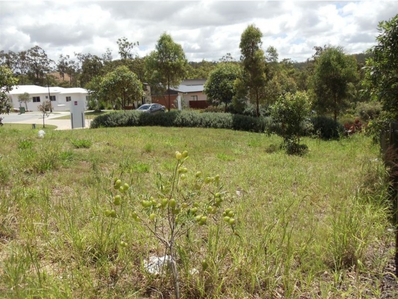 17 Canopy Crt, Brookwater QLD 4300
