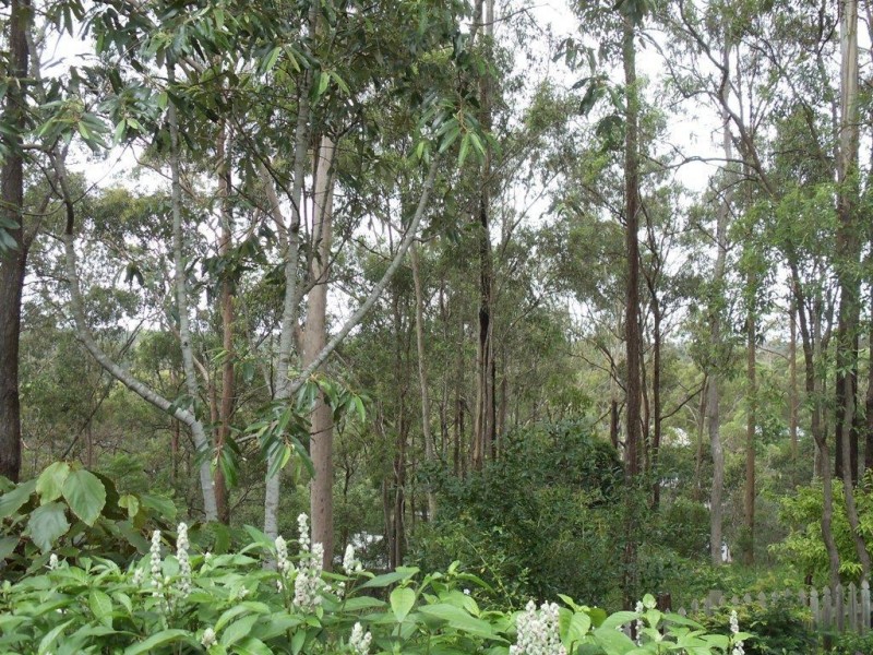 46 Fiona Street, Bellbird Park QLD 4300