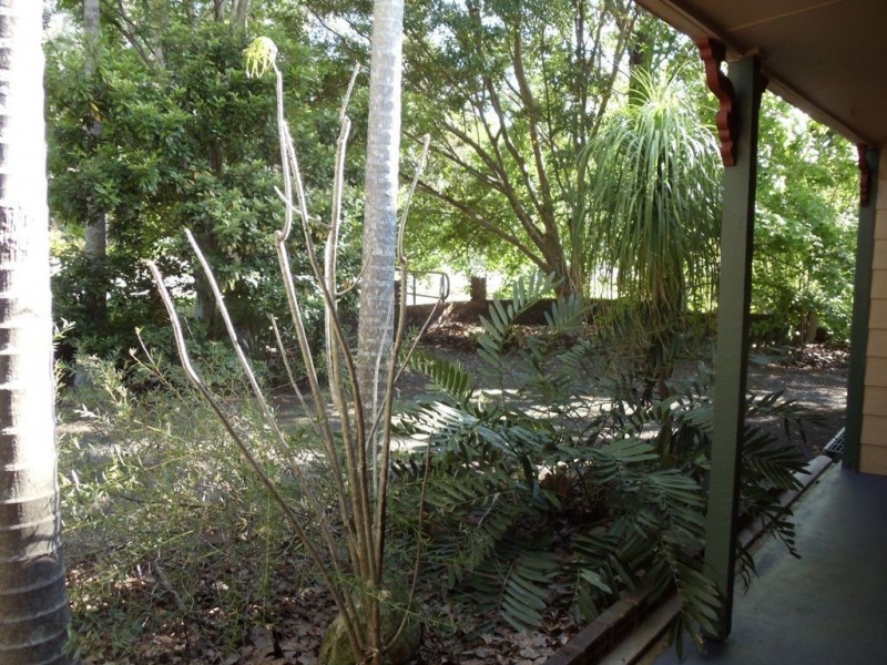 16 Moss Road, Camira QLD 4300