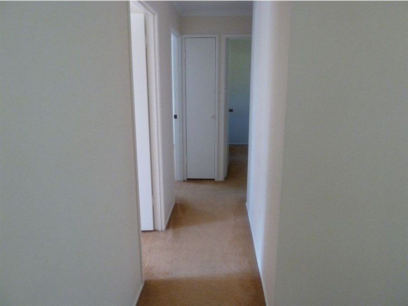 17 Cracow St, Camira QLD 4300