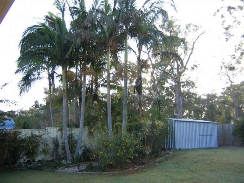 36 Woodbine Ave, Camira QLD 4300