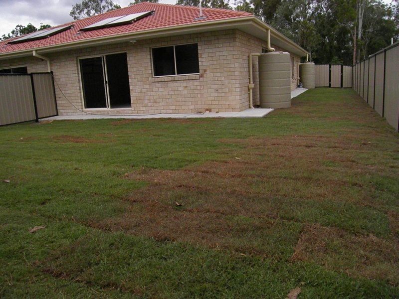 2/3 Hosanna Place, Camira QLD 4300