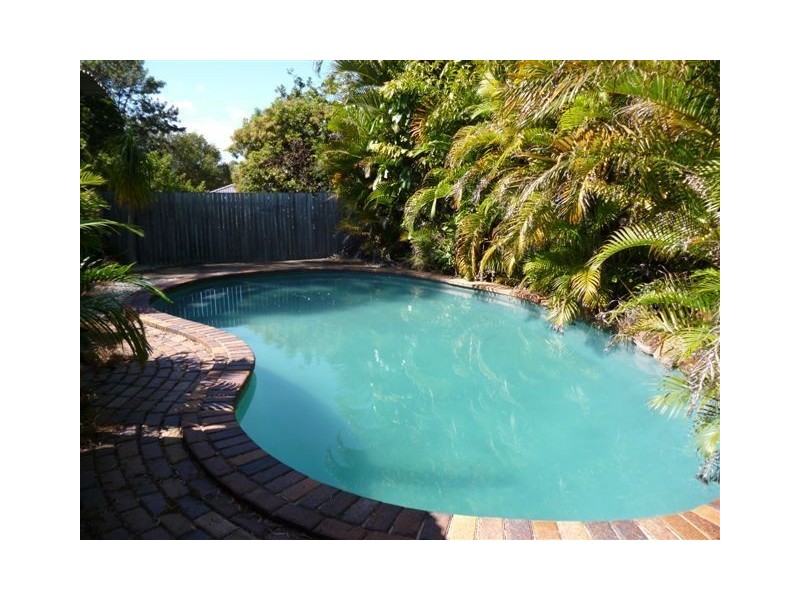 430 Old Logan Rd, Camira QLD 4300