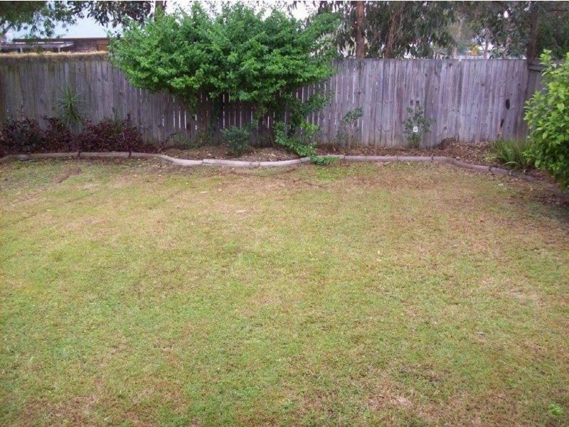 Springfield QLD 4300