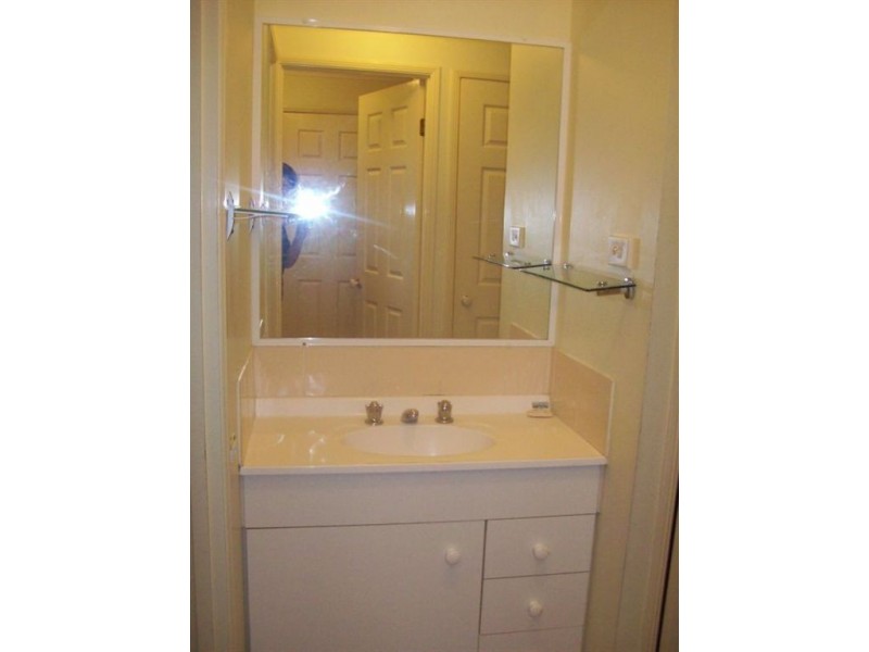 12 Streamview Cresent, Springfield QLD 4300