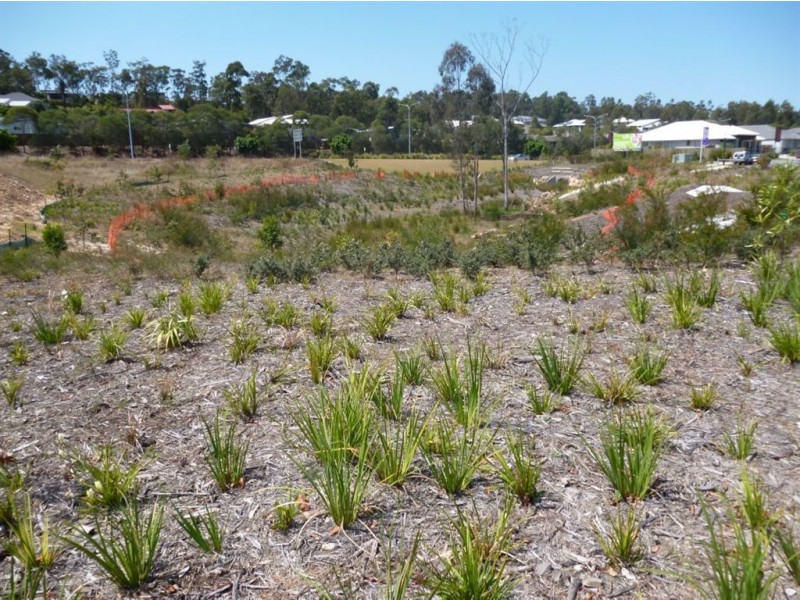 Augustine Heights QLD 4300