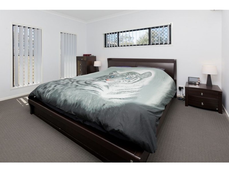 50 Congo Circuit, Springfield QLD 4300