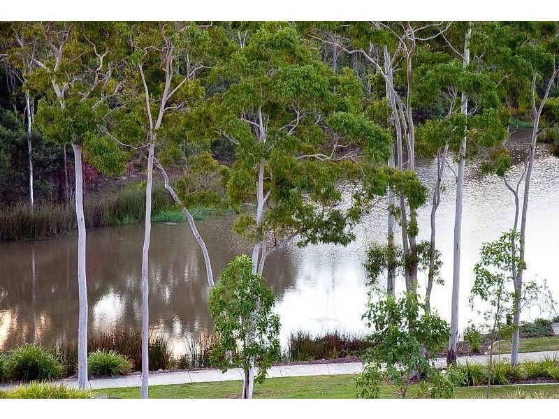 4 The Reach Court, Springfield Lakes QLD 4300