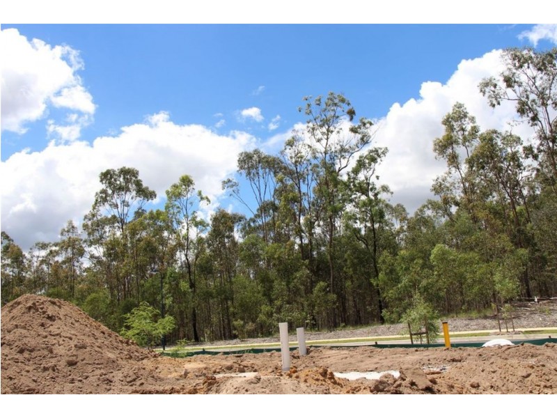 LOT 499 Wild Iris Terrace, Springfield Lakes QLD 4300
