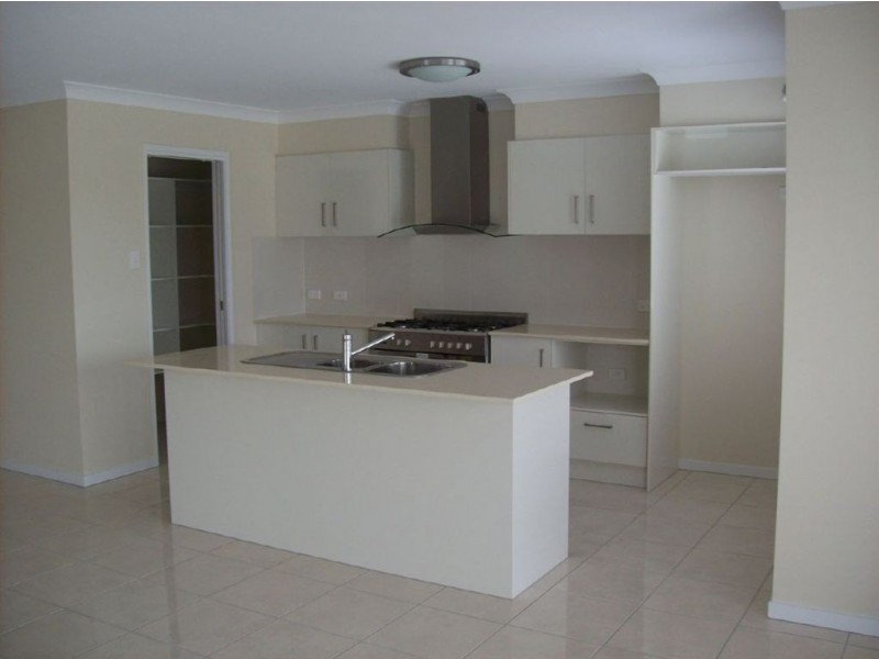 16 Aspect Terrace, Springfield Lakes QLD 4300