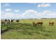 77 Alexander Lane, Harrisville QLD 4307
