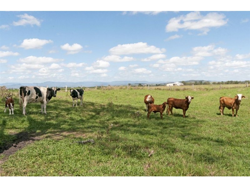 77 Alexander Lane, Harrisville QLD 4307