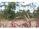 Brookwater QLD 4300