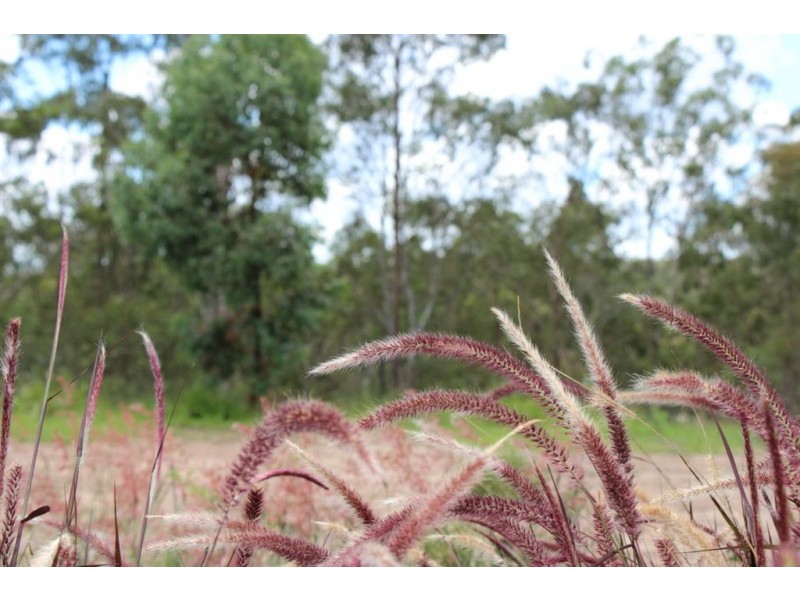 Brookwater QLD 4300