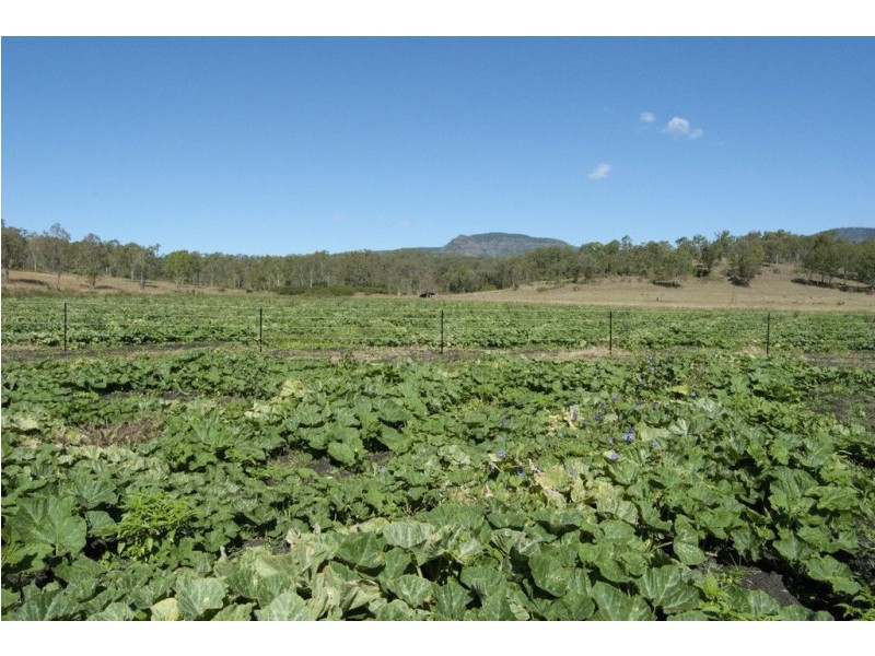 27 Main Camp Creek Rd, Thornton QLD 4341