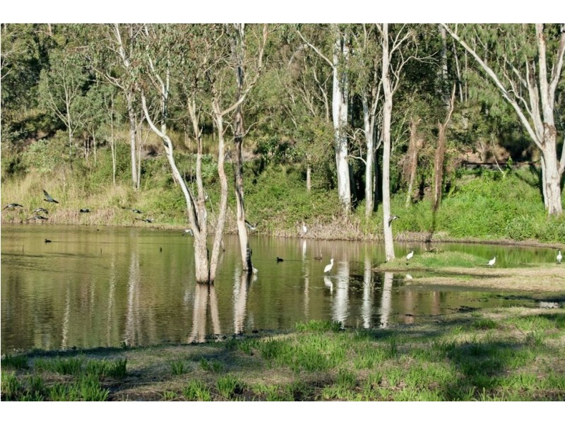 5 Mary St, Blackstone QLD 4304