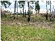 25 Snowy River Cct, Forest Lake QLD 4078