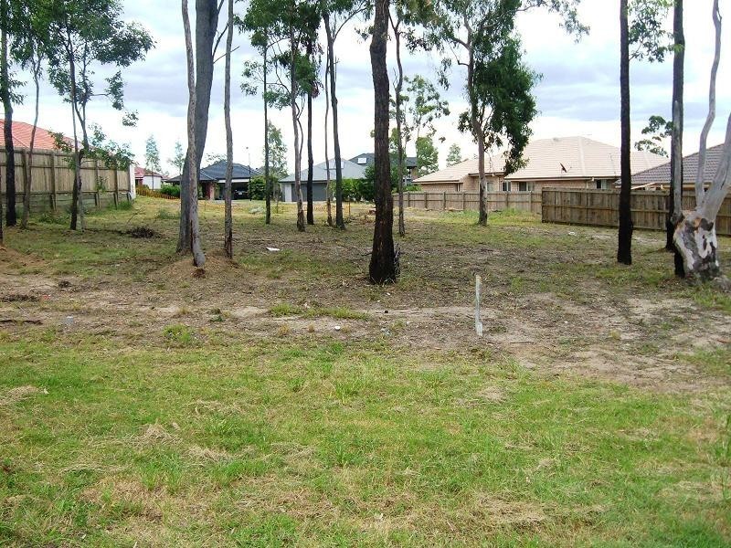 25 Snowy River Cct, Forest Lake QLD 4078