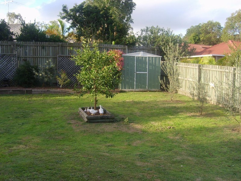 3 Hoop Place, Forest Lake QLD 4078