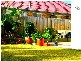 10 Burlington Terrace, Springfield Lakes QLD 4300