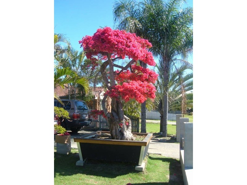 5 Rory Street, Richlands QLD 4077