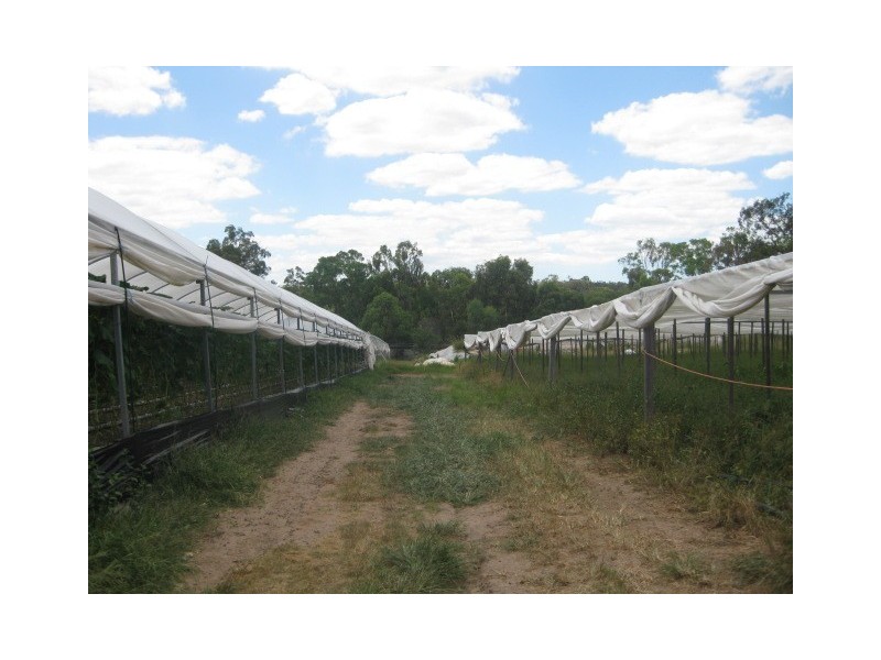 385 Thompson Road, Greenbank QLD 4124