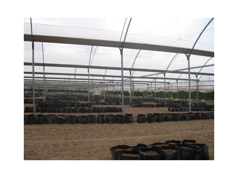 385 Thompson Road, Greenbank QLD 4124