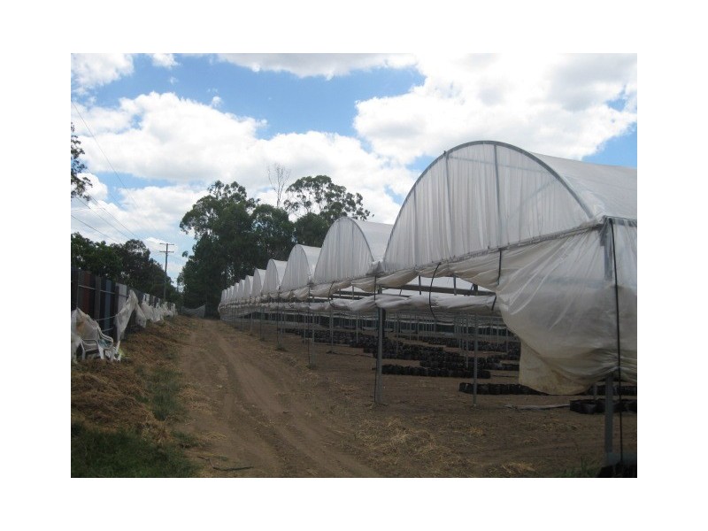 385 Thompson Road, Greenbank QLD 4124