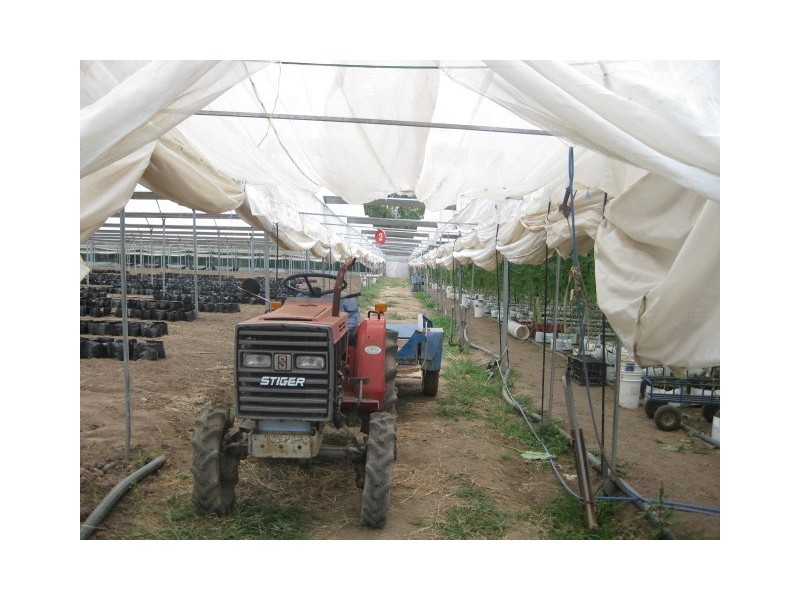 385 Thompson Road, Greenbank QLD 4124