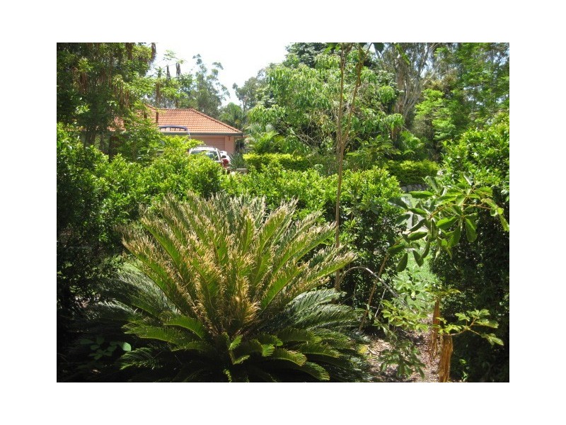 2 Dampier Crescent, Forest Lake QLD 4078