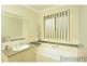 11 Collins Street, Collingwood Park QLD 4301