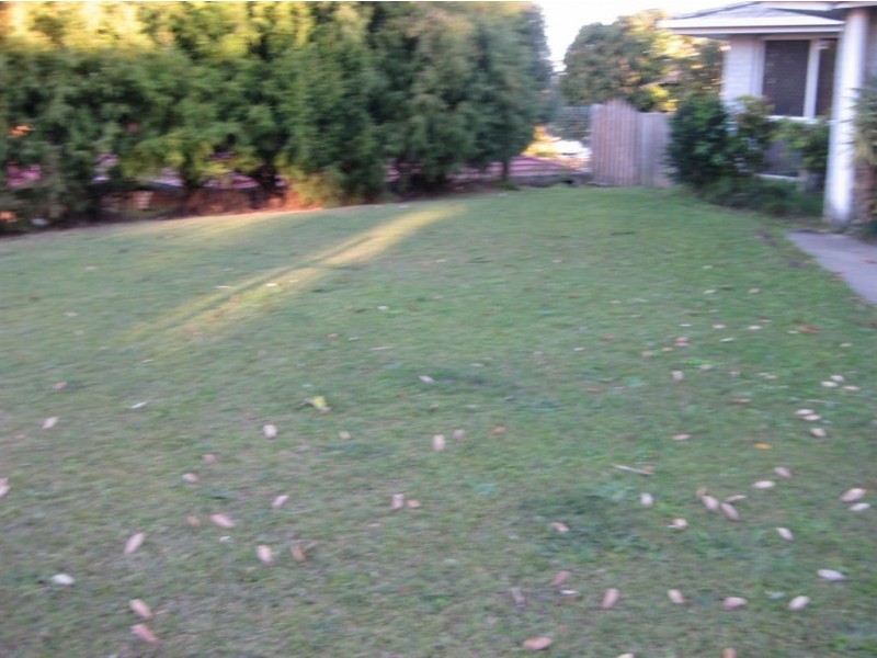 43 Tinaroo Street, Durack QLD 4077