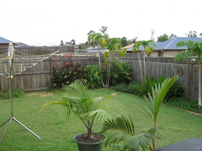 74 Tone Drive, Collingwood Park QLD 4301