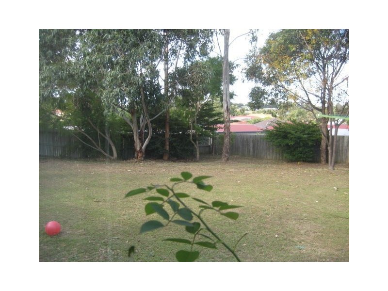 Springfield QLD 4300