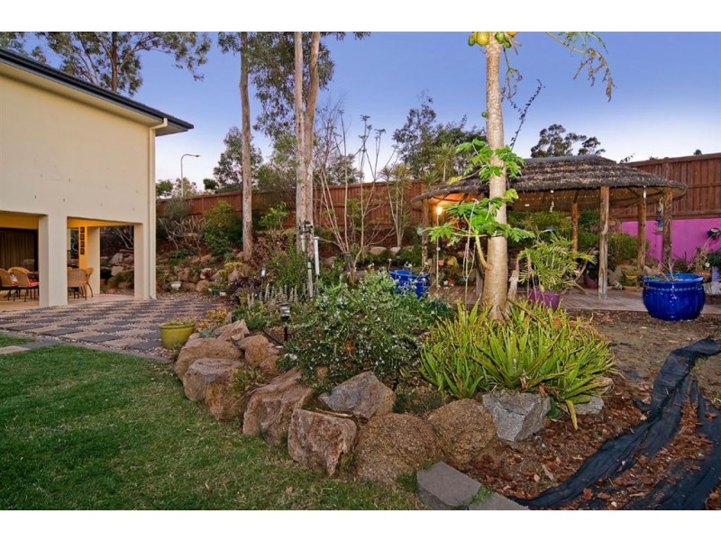 46 Catalina Cct, Forest Lake QLD 4078