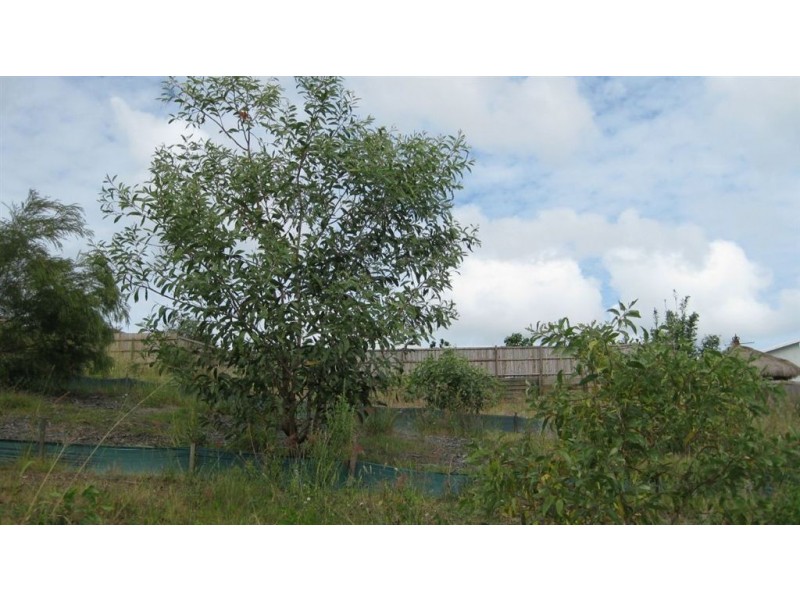 5 Aristotle Ave, Augustine Heights QLD 4300