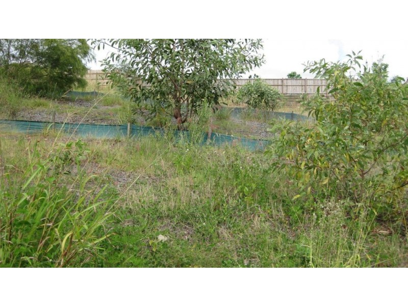 5 Aristotle Ave, Augustine Heights QLD 4300