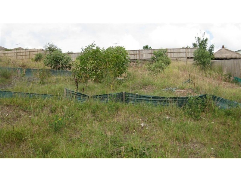 5 Aristotle Ave, Augustine Heights QLD 4300