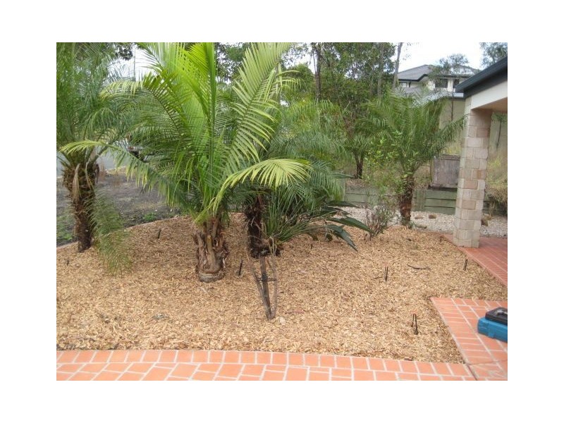 21 Hinchinbrook circuit, Forest Lake QLD 4078