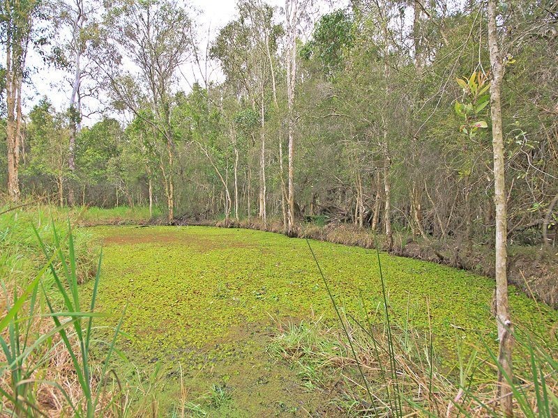 108-114 Bumstead Rd, Park Ridge QLD 4125