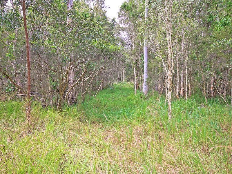 108-114 Bumstead Rd, Park Ridge QLD 4125