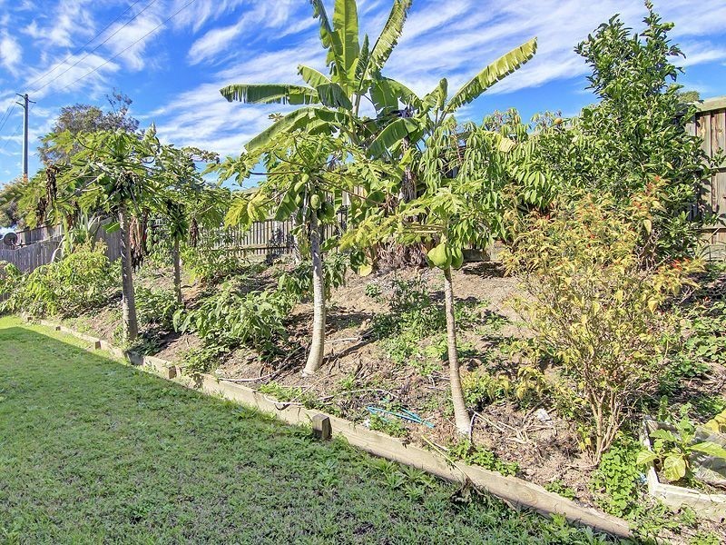 3 Chanel Place, Durack QLD 4077