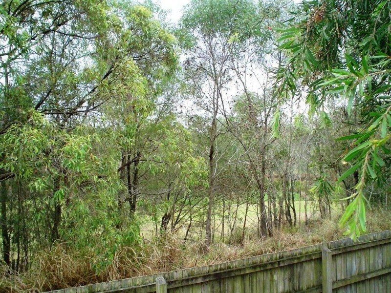 41 Federation Drive, Hillcrest QLD 4118